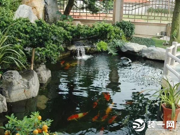 庭院鱼池景观设计优点 最新庭院鱼池设计效果图大全